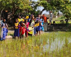 WhatsApp Image 2025-10-11 at 12.55.55 AM